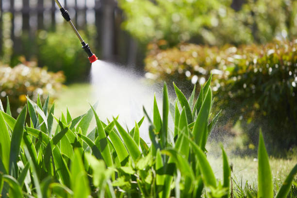 24/7 Emergency Termite Control experts in Wilder, KY